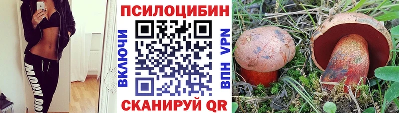 Галлюциногенные грибы GOLDEN TEACHER  Зеленокумск 